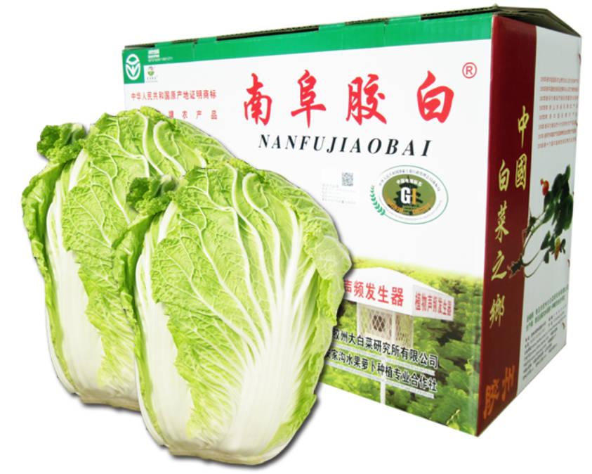 二水氯化钙-防腐剂